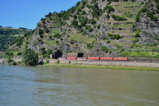 Rhein_rechts_08.jpg